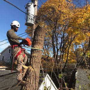 Meet your Posher, Samuel